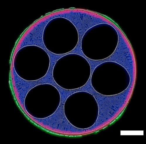 Combined micro-computed tomography and X-ray diffraction computed tomography images of the SOFC in cross section. 