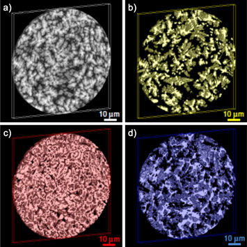 Nanotomography images of activated Raney-type nickel catalysts
