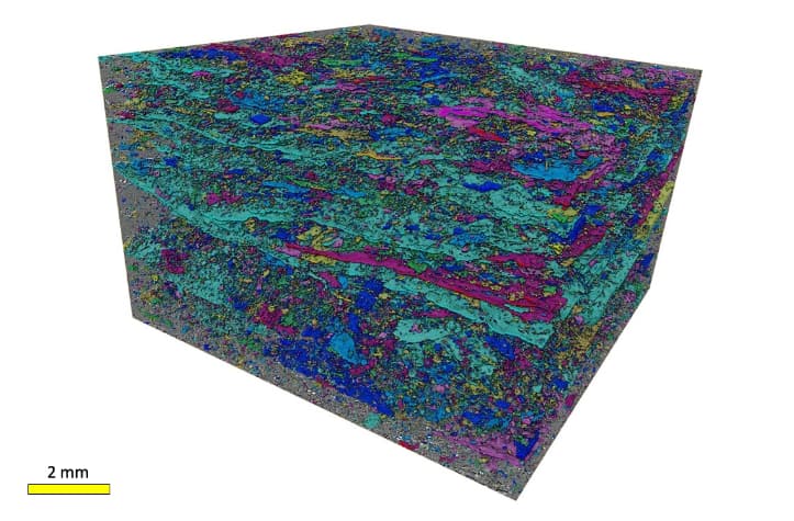 Tomographic reconstruction from the lowest resolution images (4 micrometre voxel size) collected at BM05.