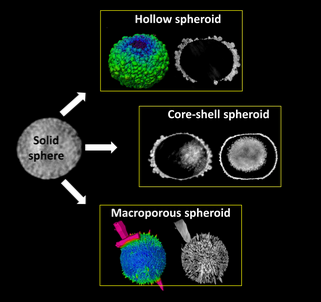 Self-transformation of solid CaCO3 microspheres into core-shell and hollow hierarchical structures