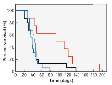 Survival curves of 9LGS bearing rats treated by MRT, DOTAREM and AGuIX nanoparticles