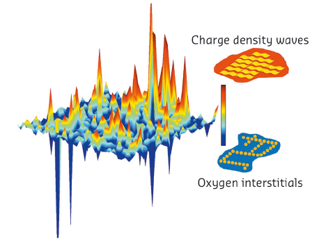 Spatial anti-correlation of charge density wave order