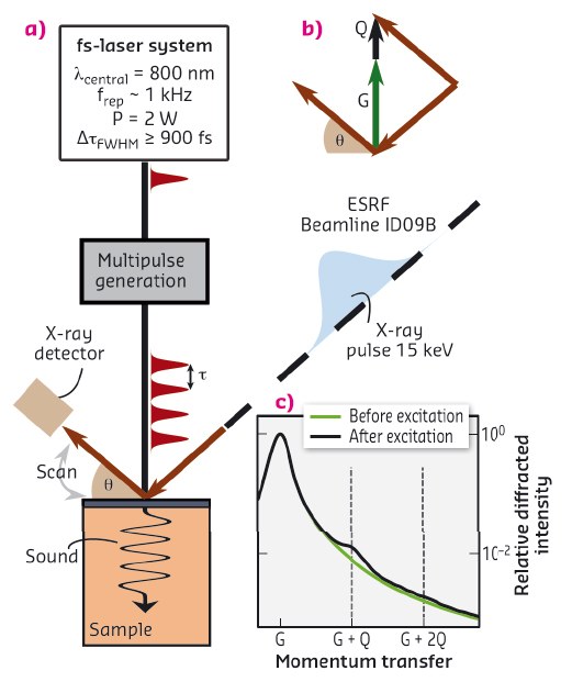 Experimental setup to excite narrowband phonon wave packets and detect them transiently with synchrotron X-ray pulses
