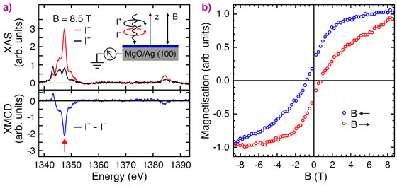 X-ray absorption spectra and circular magnetic dichroism of an ensemble of individual Ho atoms adsorbed on MgO