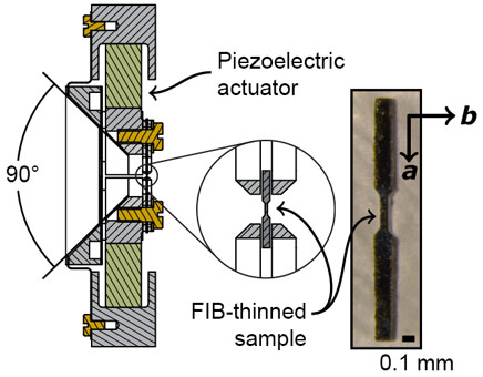 Sketch of the piezoelectric-based strain apparatus and photo of the sample.
