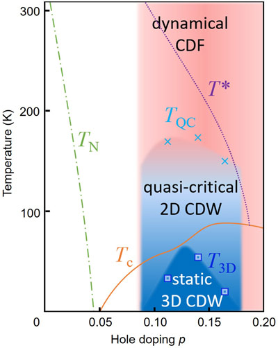 CDF dominate the phase diagram, coexisting both with the quasi-critical 2D-CDW and with superconductivity.
