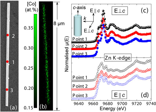 SEM image, elemental map for Co, and Zn K edge XANES spectra for a Co-implanted nanowire.
