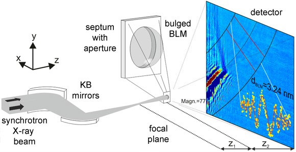 Coherent diffraction imaging of a lipid membrane