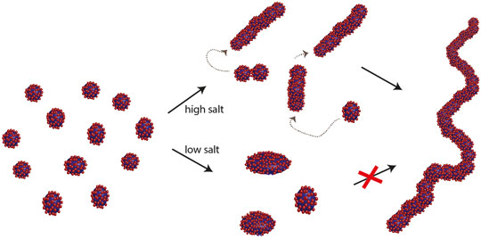Transformation of spherical/ellipsoidal micelles to worm-like micelles at higher salt concentration