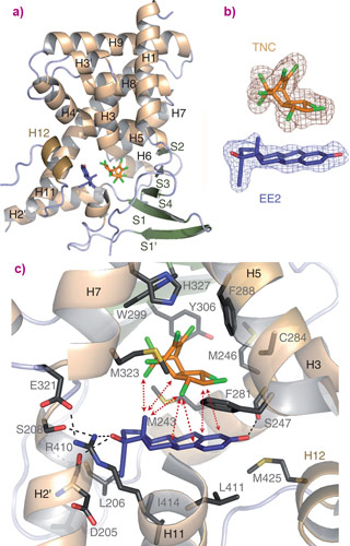 The structure of PXR bound to trans-nonachlor and 17a-estradiol