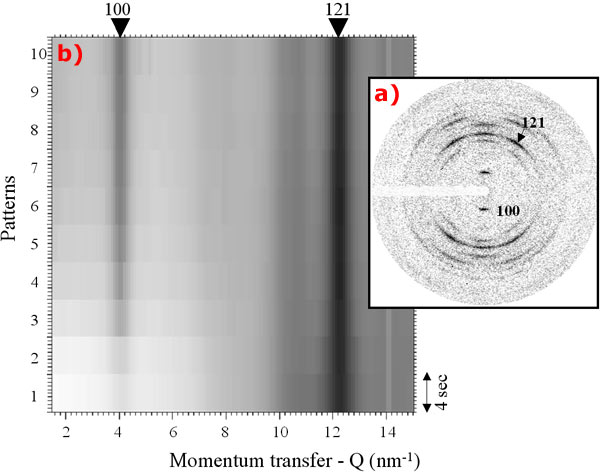 fibre diffraction pattern of a hydrated starch granule