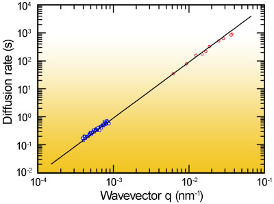 q-dependent diffusion rate for silica particles in water.