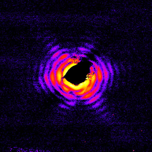 Diffraction pattern of a gold nanoparticle